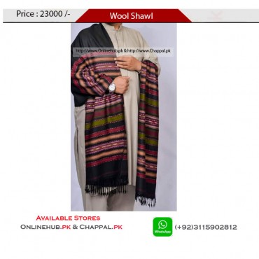 PASHMINA SHAWL PRICE AVAILABLE IN PURE WOOL FABRIC